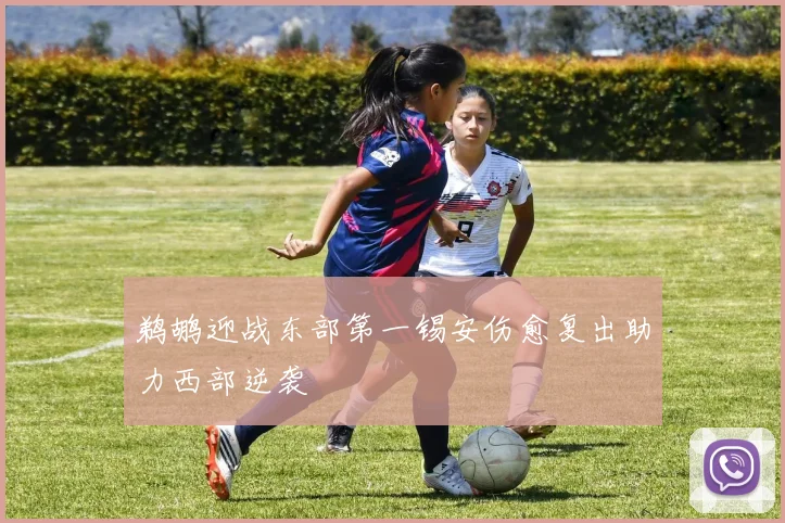 鹈鹕迎战东部第一锡安伤愈复出助力西部逆袭