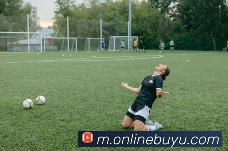 App Interface Preview